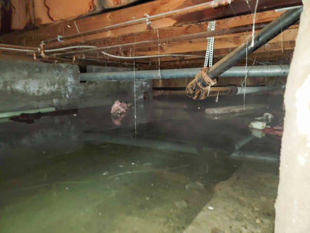 Best Residential water damage restoration  in University, MS