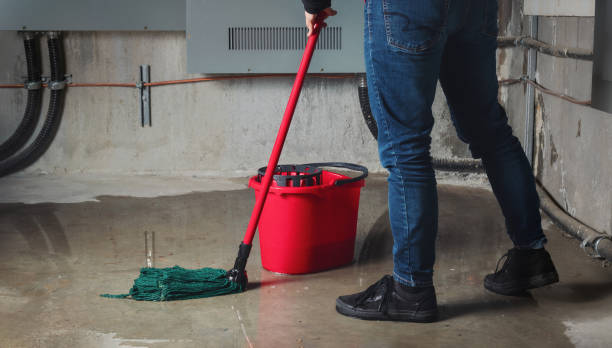 Best Flooded house restoration  in University, MS