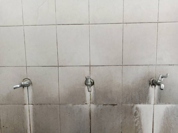 Best Flood restoration services  in University, MS