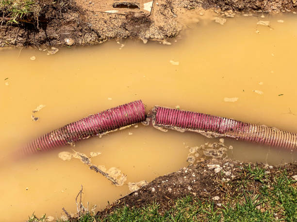 Best Sewage cleanup and water damage restoration  in University, MS